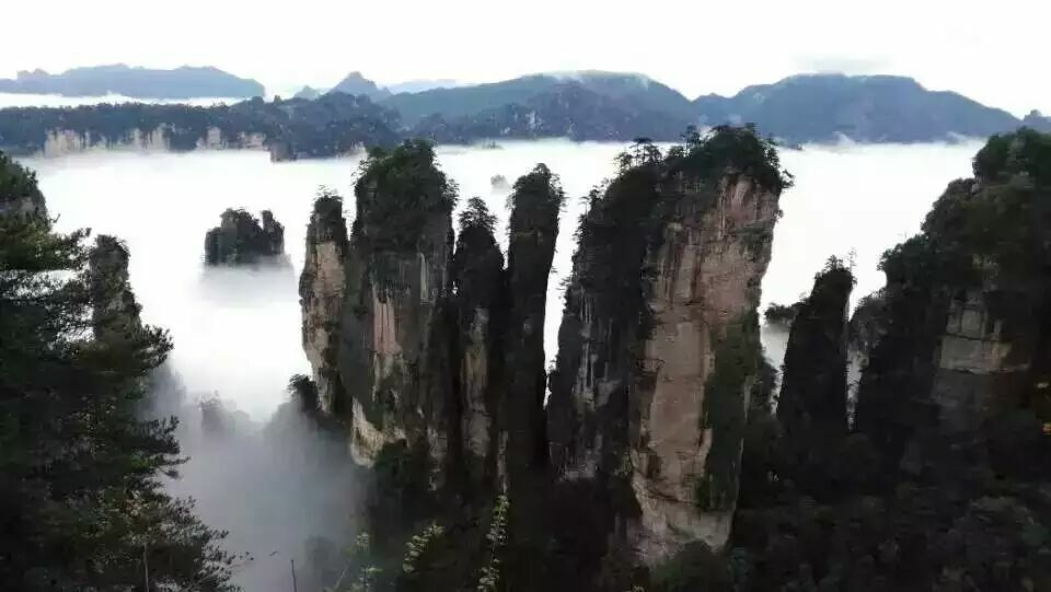 ��ָ���ƺ�.jpg