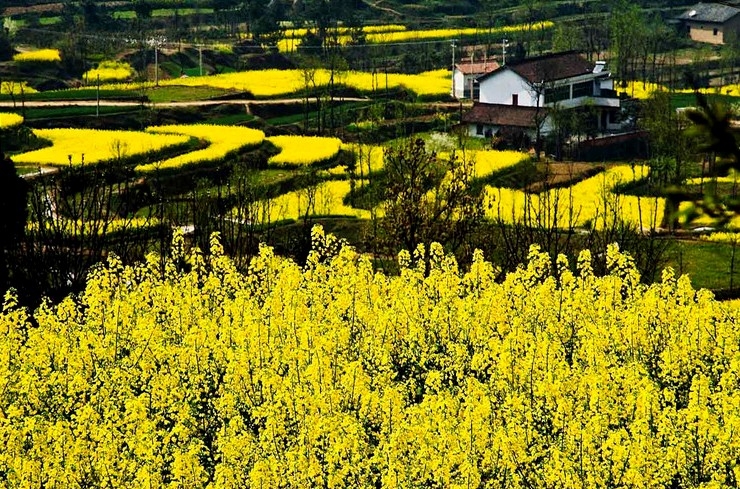 QQ��ͼ20130327213851.jpg
