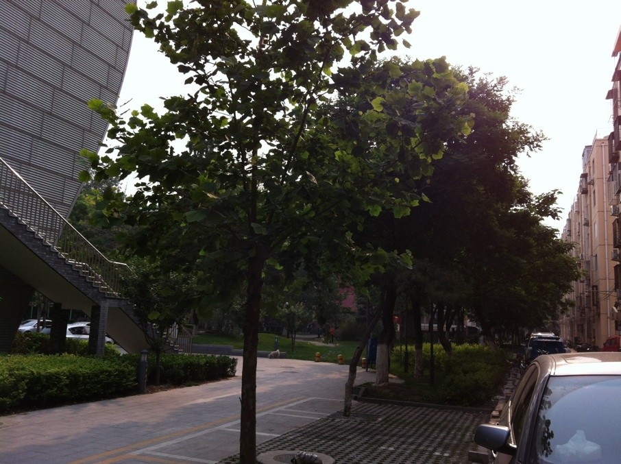 ����ǵ��ʴ�ѧ��Ӿ��